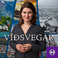 V&iacute;&eth;svegar