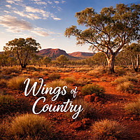Wings Of Country