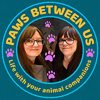 Paws Between Us - Pet Stories, Welfare and Building A Bond