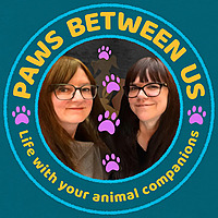 Paws Between Us - Pet Stories, Welfare and Building A Bond
