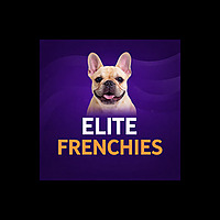 Elite Frenchies: French Bulldog Care Tips