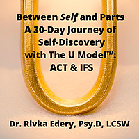 30-Day U-Model&trade; (ACT + IFS) Audio Master Class