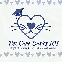 Introduction To Pet Care Basics 101