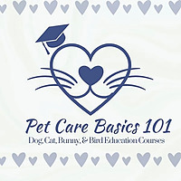 Introduction To Pet Care Basics 101