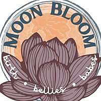 Moon Bloom Photo Blog
