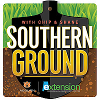 Southern Ground