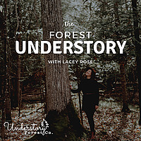 The Forest Understory