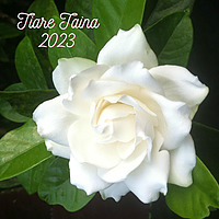 Tiare Taina