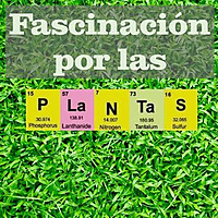 Podcast Fascinaci&oacute;n por las plantas