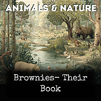 Brownies- Their Book
