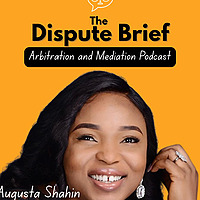 The Dispute Brief