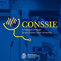 CONSSIE: College of Nursing Student Success in Education