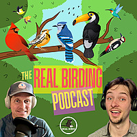The Real Birding Podcast