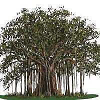 The Estate, Trust & Elder Law Firm Blog