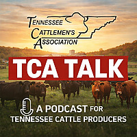 TCA Talk From The Tennessee Cattlemen's Association