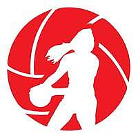 All-Pro Netball Academy Blog
