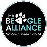 The Beagle Alliance Blog