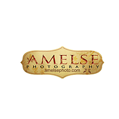 Amelse Photography Blog