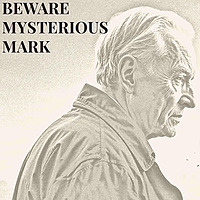 Beware Mysterious Mark - A True Account of Elder Financial Abuse