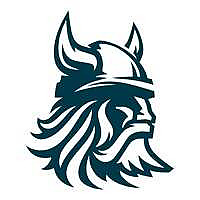 Viking Plumbing Blog