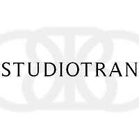 Studio Tran Photography Blog