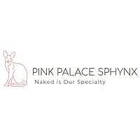 Pink Palace Sphynx Blog