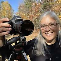 Coastal Maine Photo Tours Blog