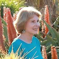 Debra Lee Baldwin Blog