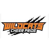 WILDCATS Cheer Pride Blog
