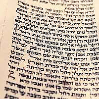 Torah Road Blog