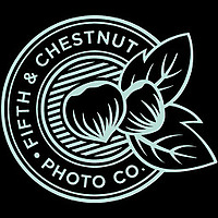 Fifth and Chestnut Blog