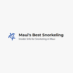 Maui's Best Snorkeling Blog