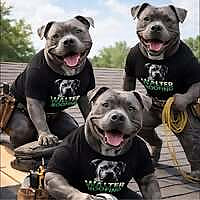 Walter Roofing Blog