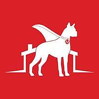 Mighty Dog Roofing Blog