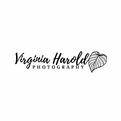 Virginia Harold Photography Blog