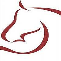Avonvale Equine Vet Practice Blog