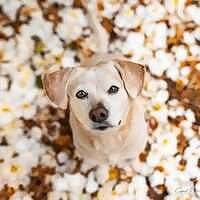 Sweet Ellie Photography Blog