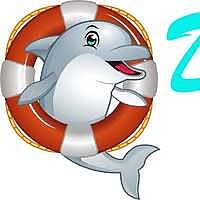 Dolphin Roofing Blog