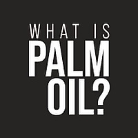 What is Palm Oil? Blog
