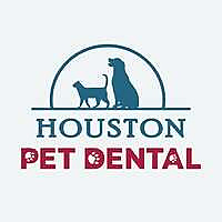 Houston Pet Dental Blog