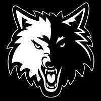 Minnesota Timberwolves