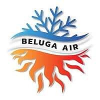 Beluga Air Blog
