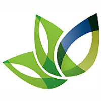 Bloom Family Dental Blog