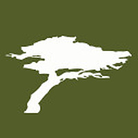 Torrey Hills Dental Blog