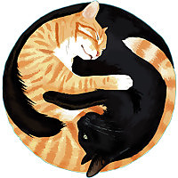 Cole & Marmalade