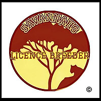 Soton Savannahs