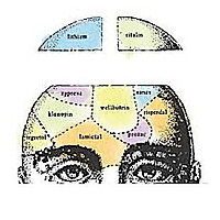 Mad in America Psychosis