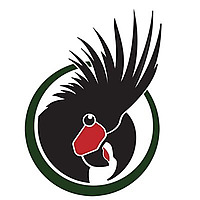 World Parrot Trust