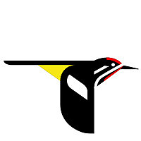 All About Birds &raquo; News