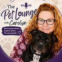 The Pet Lounge